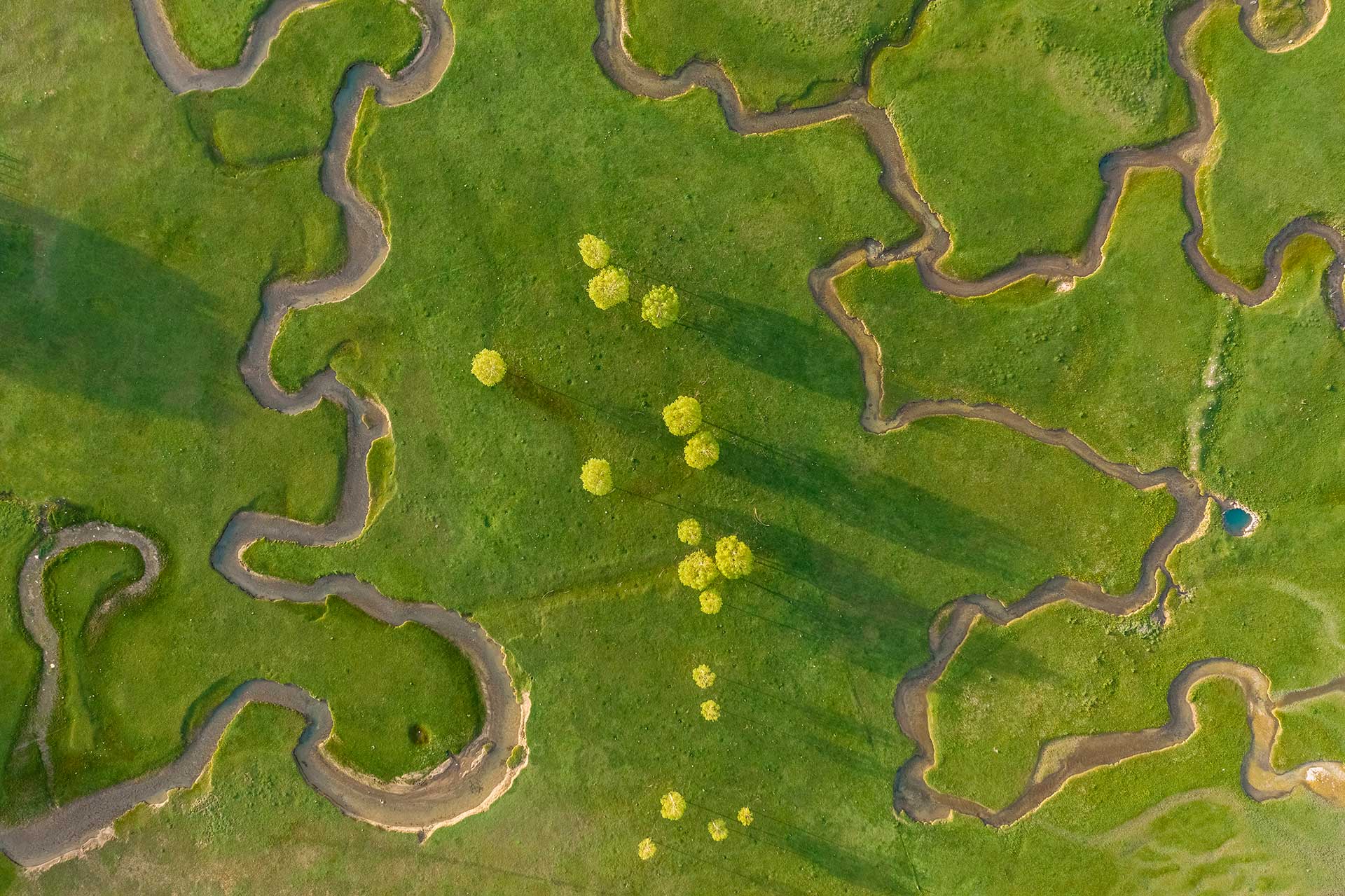 aerial-view-extraordinary-meadow-with-many-paths