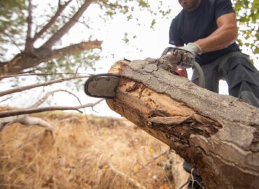primo-piano-di-un-boscaiolo-con-una-motosega-una-foresta