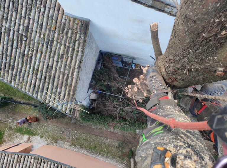 428649447_814189430724878_8509982274532309332_n 428649447_814189430724878_8509982274532309332_n