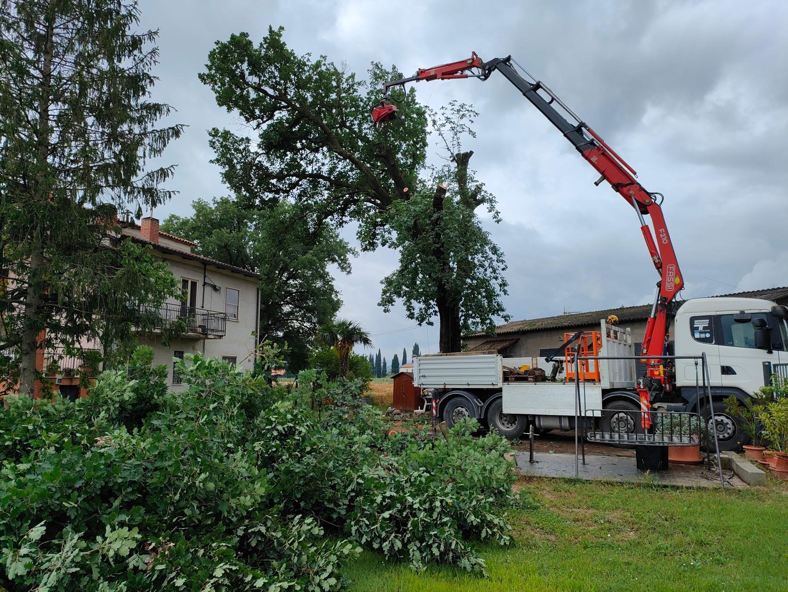 abbattimenti-sedondaria