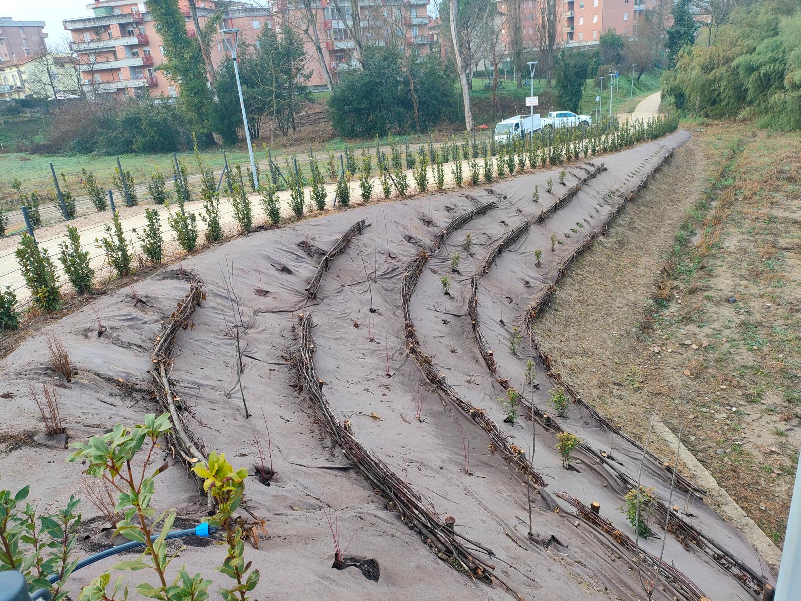 ingegneria-naturalistica-secondaria