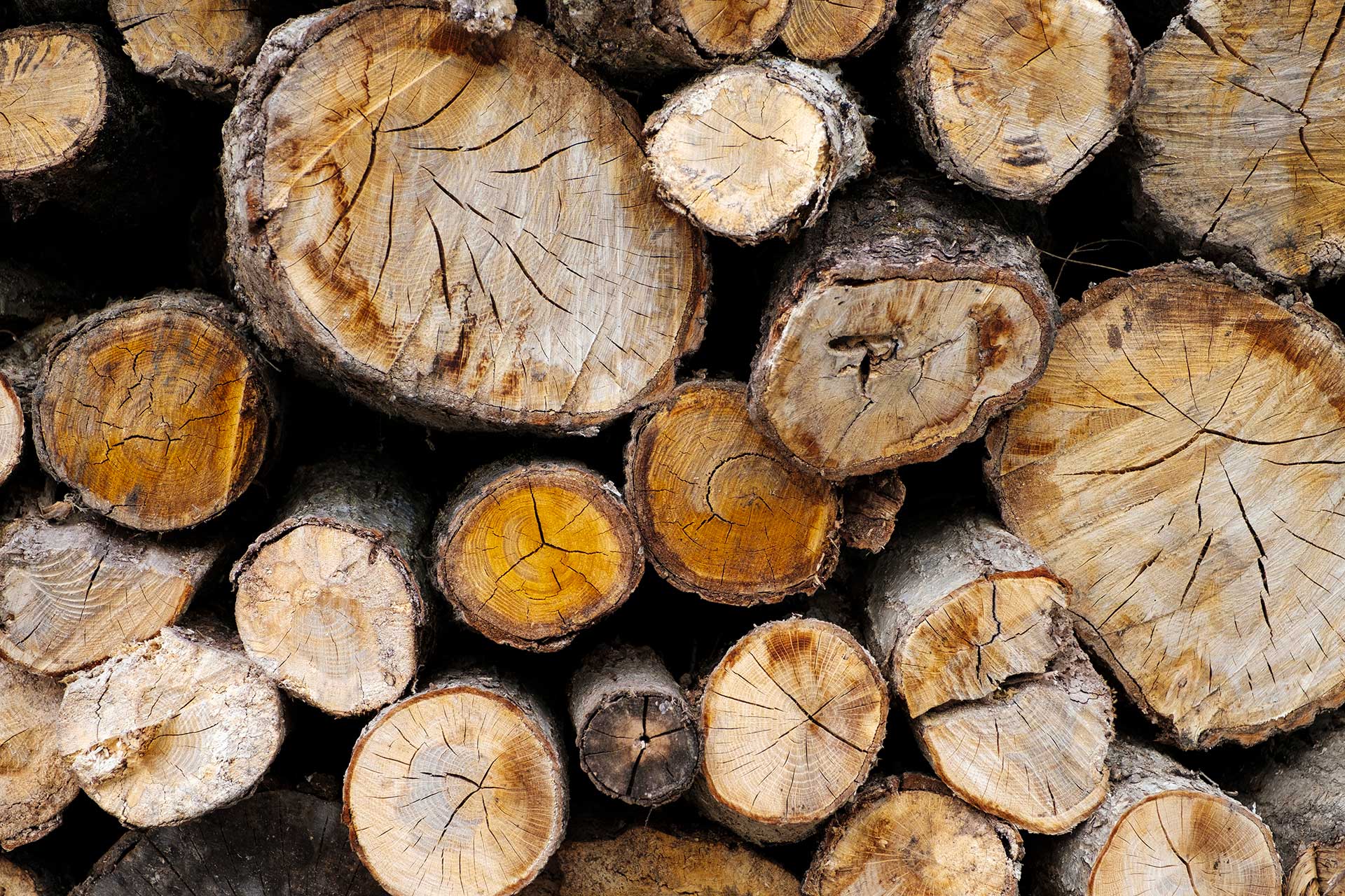wood-log-cut-background wood-log-cut-background